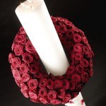 Red-Naomi-Porta-Nova-red-roses-9