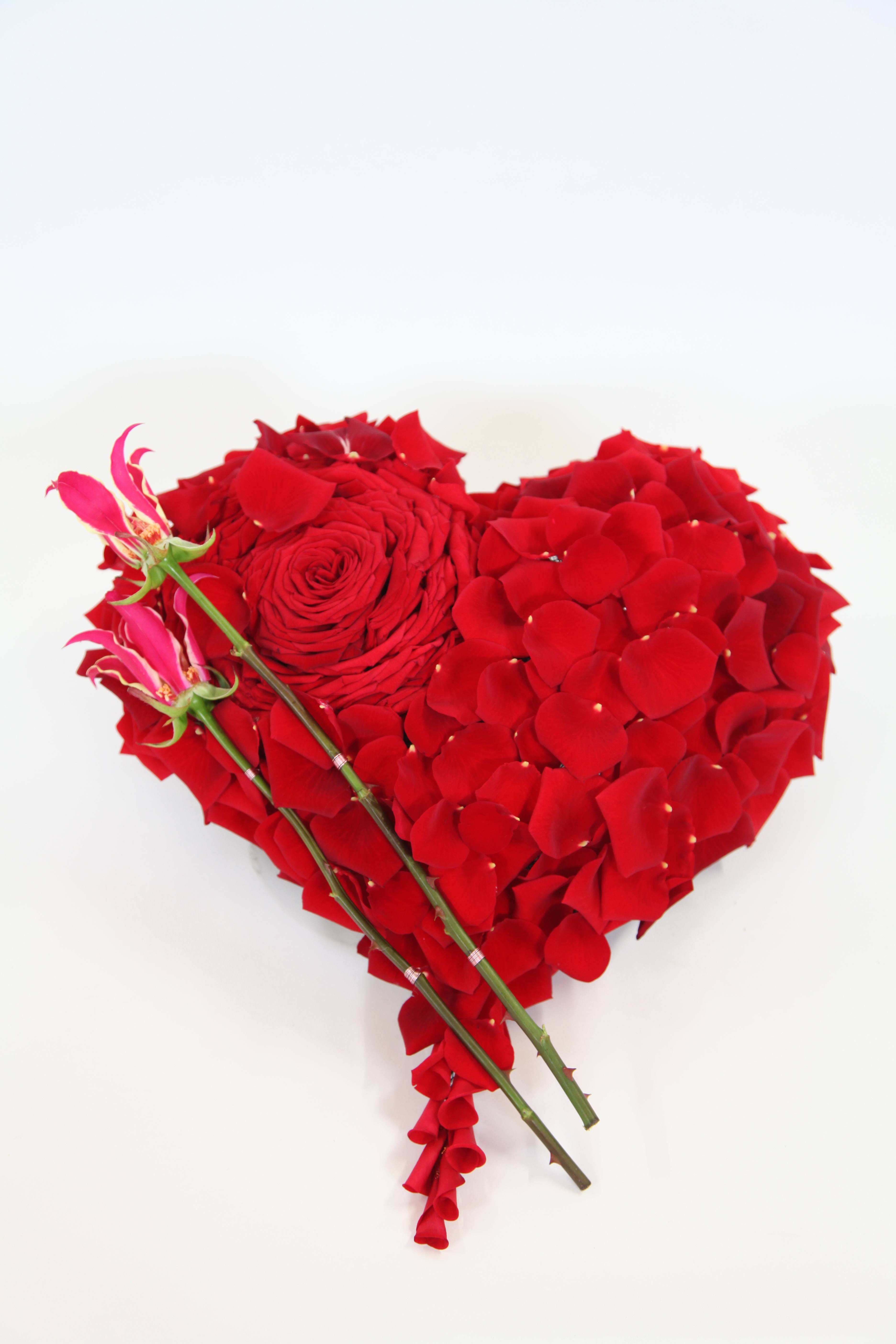 Red Naomi Porta Nova heart Valentines Day