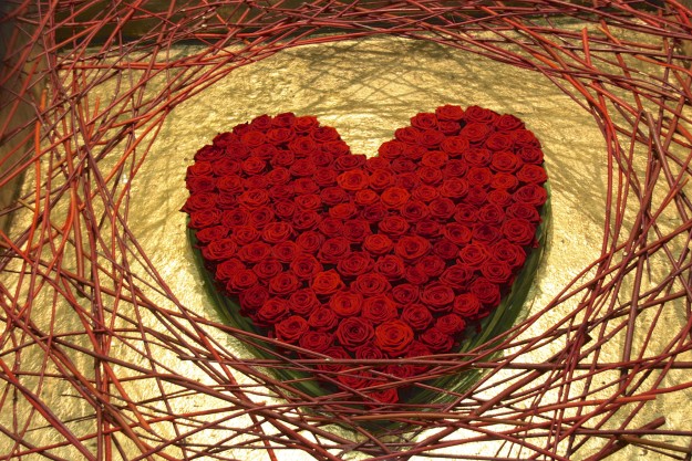 Red-Naomi-Porta-Nova-red-roses-110