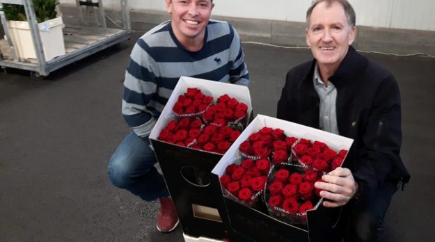 hukra-porta-nova-red-naomi