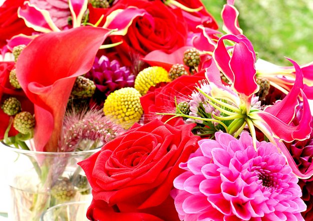 summer love porta nova myflorist