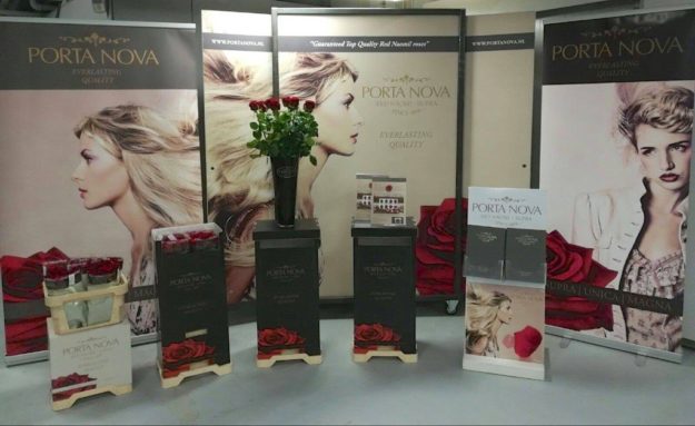 porta-nova-supporting-wholesalers-in-europe-8-1