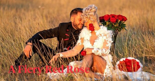 Porta-Nova-Rose-Red-Naomi-header-image___media_library_original_839_440